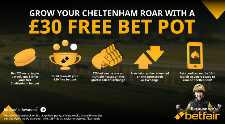 Free bets at Cheltenham